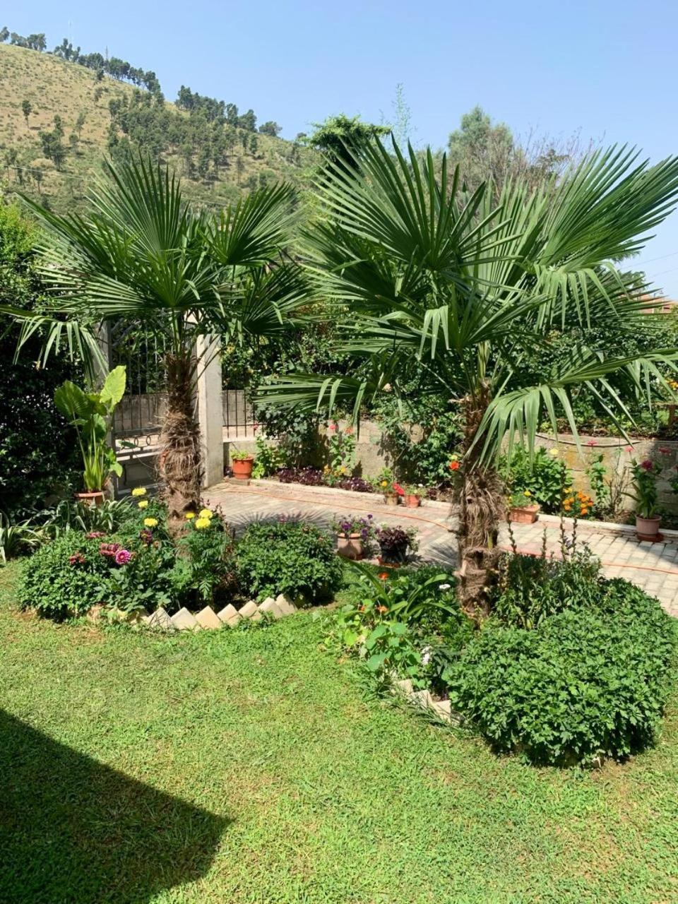 Villa With Garden And Veranda Berat Exterior foto